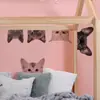 Sondagem Transfronteiriça Pequeno Animal Gato e Cachorro Adesivos de Parede Quarto Sala de Estar Entrada Parede de Fundo PVC Autoadesivo Removível
