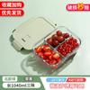 Fiambrera de Vidrio de Borosilicato Caja Conservadora de Frescura para Refrigerador Gran Capacidad Fiambrera para Estudiantes Fiambrera para Oficinista Calentamiento en Microondas