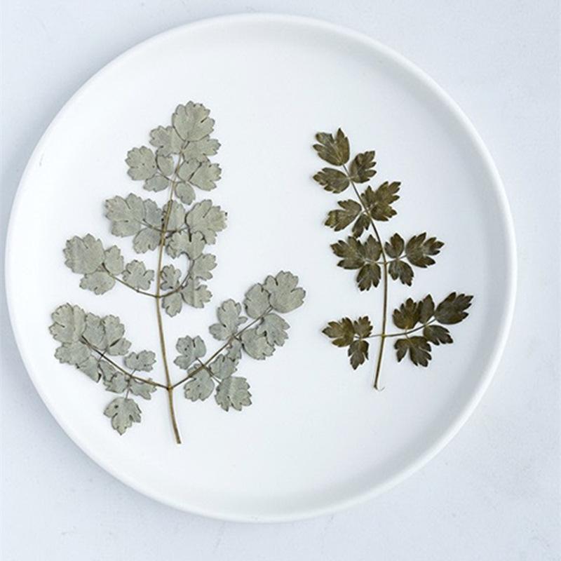 O1CN0128xHs42DdxzA6DxdB_!!2211