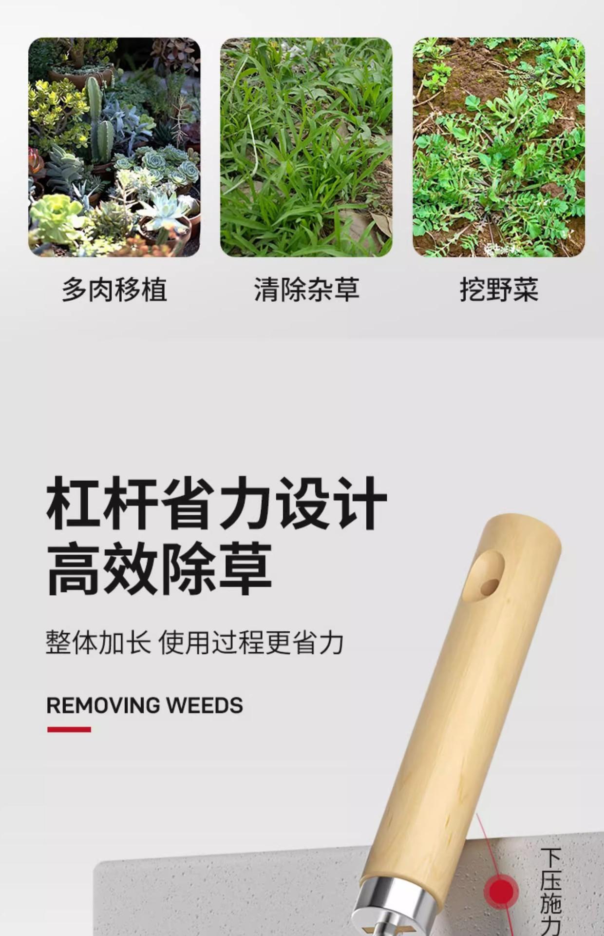 详情图04.jpg
