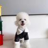 Ropa para perros, ropa de invierno, gruesa, de marca de moda, de piel, chaqueta de moto de una pieza, perro pequeño, peluche Beaumi Shenari, gato