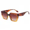 Nuevas de Moda Gafas de Sol Versátiles para Hombres y Mujeres con Montura Grande Montura Cuadrada Bicolor Personalizada Montura de PC Gafas de Venta al por Mayor Transfronteriza