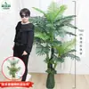 Qin Ye Rong Planta Fotográfica en Maceta Hotel Planta Verde Falsa Biónica Decoración de Sala de Estar Árbol Falso de Pie Flor Falsa Puerta