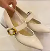 Zapatos de Mujer Mary Jane Franceses de Tacón Bajo, Elegantes, Suela Suave, Cómodos y Versátiles, Estilo Nuevo Otoño 2026, Tacón Grueso, Punta Fina