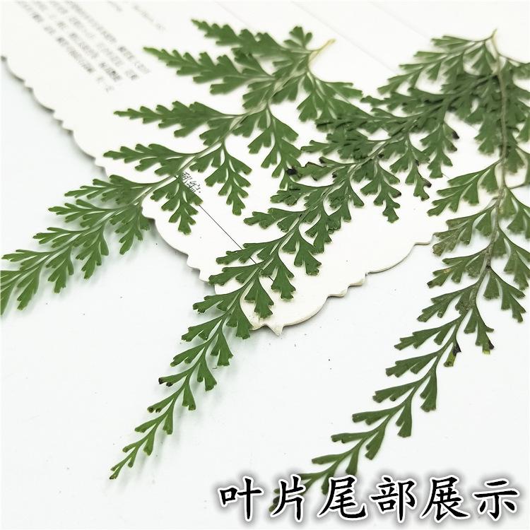 IMG20190107161910