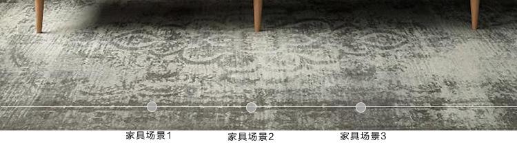 248详情1_05