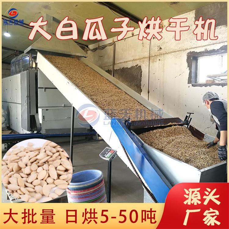 阿里.jpg