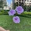 TeHui3 cabeça austin flor artificial decoração de casa de casamento flor falsa atacado