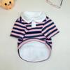 Camisa Polo Listrada para Pets Schanery Teddy Yorkshire Bitter Bear Poodle Roupas para Cães Pequenos Gatos e Cães