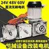 Motor sin escobillas de CC de 24 V Triciclo eléctrico de 48 V Vehículo oruga Bomba pulverizadora Máquina de limpieza Modificación Engranaje reductor de 60 V