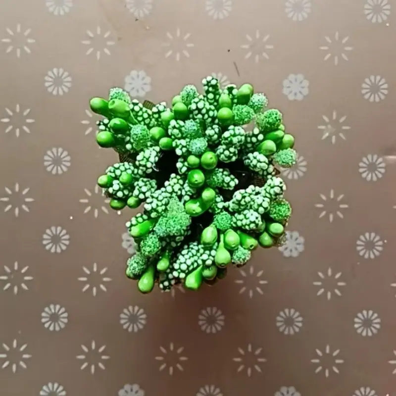 Green.jpg