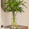 Tubo de Vidrio Transparente Recto de Alto Borosilicato con Base Florero Hidropónico Taza para Velas de Aromaterapia Múltiples Especificaciones En Stock Venta al por Mayor