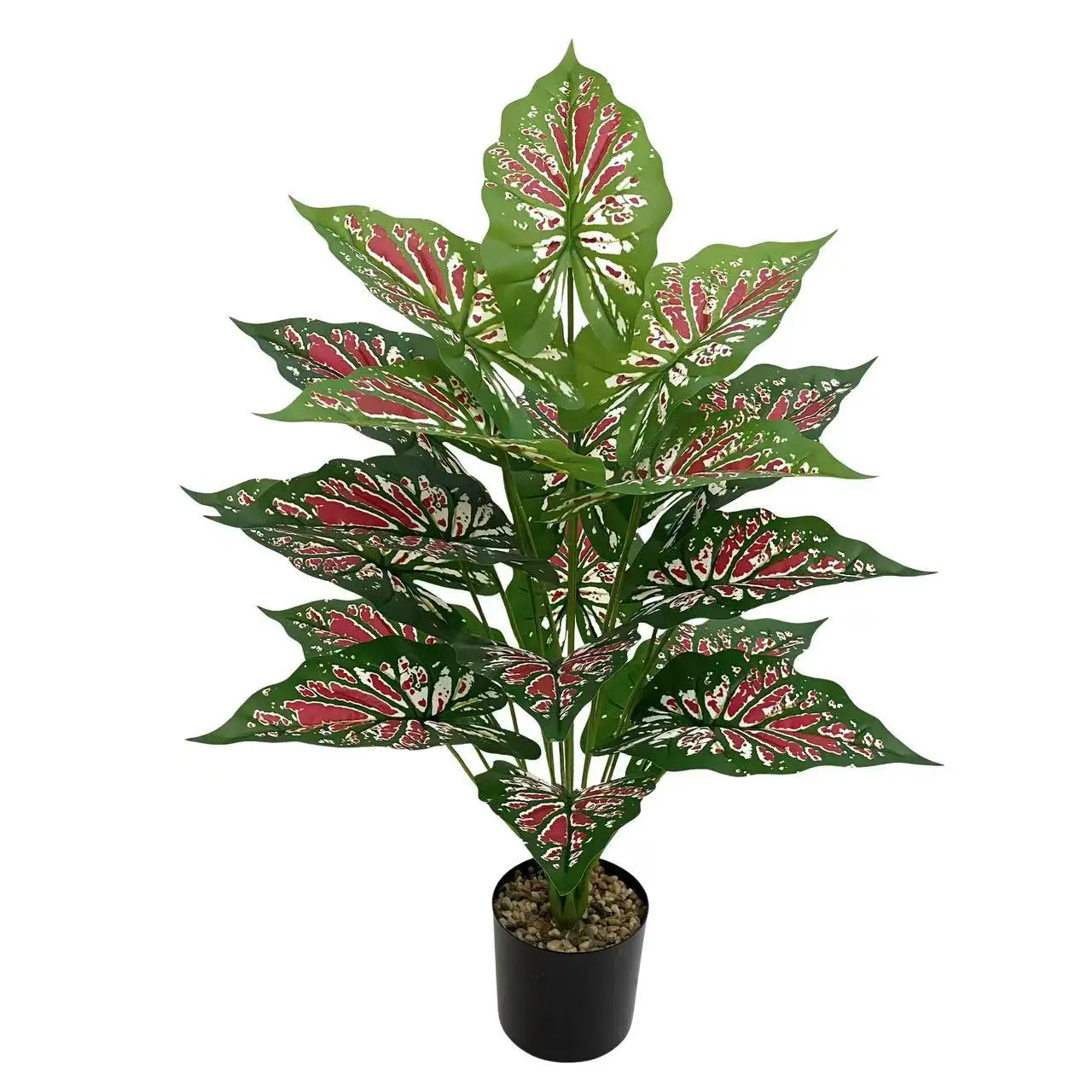 微信图片_20251007110236