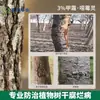 Ping'An Yudai Fungicida Especial para Plántulas Fupi Xiaomiao, Pudrición del Tallo de Árboles Frutales, Pudrición, Enfermedad de la Goma, Enfermedad de Rama y Tronco
