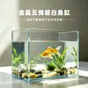 Aquário de Vidro Canto Reto Cinco Linhas Cristal Dourado para Uso Doméstico, Aquário Pequeno de Mesa para Plantas Aquáticas, Aquário para Tartarugas e Répteis