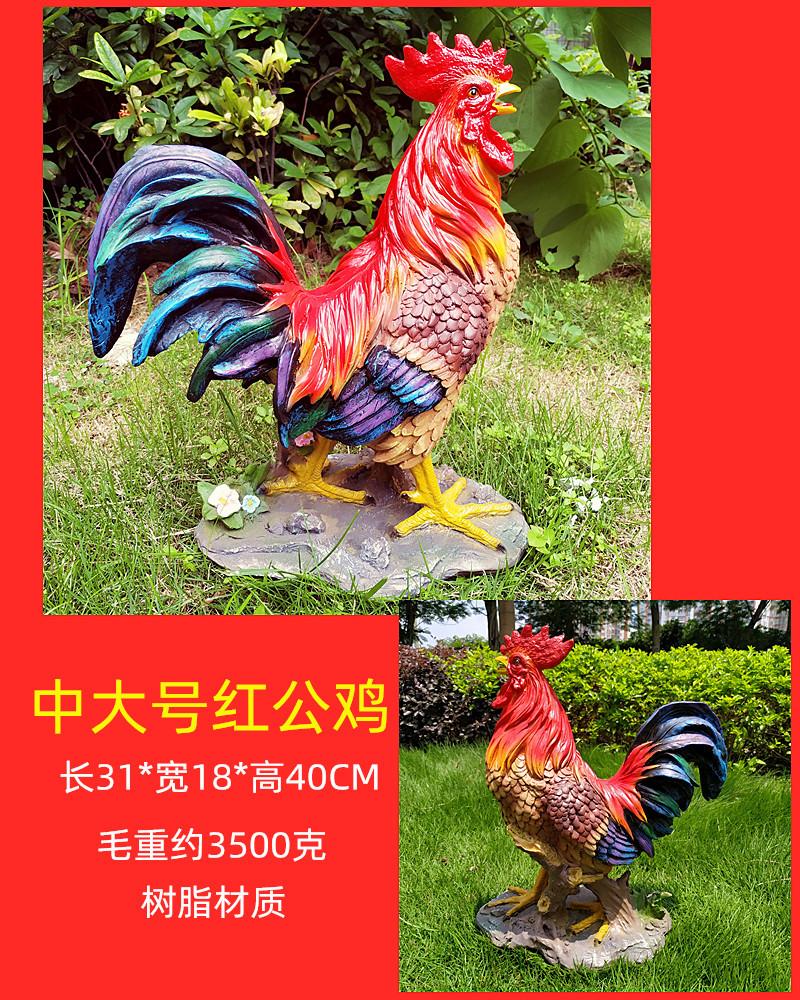中大红公鸡