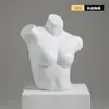 Accesorios de Maniquí para Ropa Interior Torso Femenino Masculino Soportes de Exhibición de Ventana de Plástico para Maniquíes de Hombre