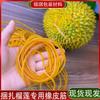 Banda Elástica de Durian Anillo de Goma de Látex Amarillo Banda Elástica Engrosada Duradera Ensanchada Elasticidad para Prevenir Grietas Especial