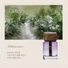 Difusor de aceites esenciales sin llama de lujo con tapa de madera, múltiples aromas, botella difusora de ratán para dormitorio y sala de estar, fragancia para el hogar, en stock