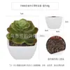Planta Artificial de Plástico Mini Hecha a Medida Transfronteriza Maceta Adornos de Escritorio Planta de Simulación Plástico Suculento Flor Falsa Planta Verde Bonsái
