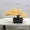 Simulação Bem-vindo Pinheiro Verde Vagem de Plantio Podocarpaceae Pinheiro Falso Bonsai Enfeites Fotografia Jardinagem Doméstica Decorações de Plantas em Vasos