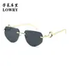Comercio Exterior Transfronterizo Personalidad Europea y Americana Montura de Pierna de Leopardo Gafas de Sol Poligonales Sin Montura Moda Gafas de Sol con Protección UV 8060
