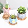 Maceteros de Cerámica para Suculentas de Venta Caliente, Bandejas de Bambú a Prueba de Fugas, Bandejas Creativas de Bambú, Bandejas Redondas Hechas a Mano con Base de Bambú y Madera, Artesanías