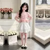 Conjunto de Duas Peças para Crianças Maiores: Blusa Casual Fina Estilosa com Personalidade de Manga Curta e Saia Doce de Renda de Verão para Meninas
