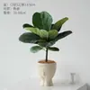 Planta de Ficus Lyrata em vaso para uso interno, planta madura de folhas grandes, planta verde popular para escritórios, planta grande estilo nórdico, adequada para salas de estar, fácil de cuidar