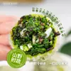 Producto Semiacabado para Desayuno de Dumplings de Verduras y Pollo Listo para Comer Dumplings Integrales de Perejil Silvestre, Acacia y Diente de León