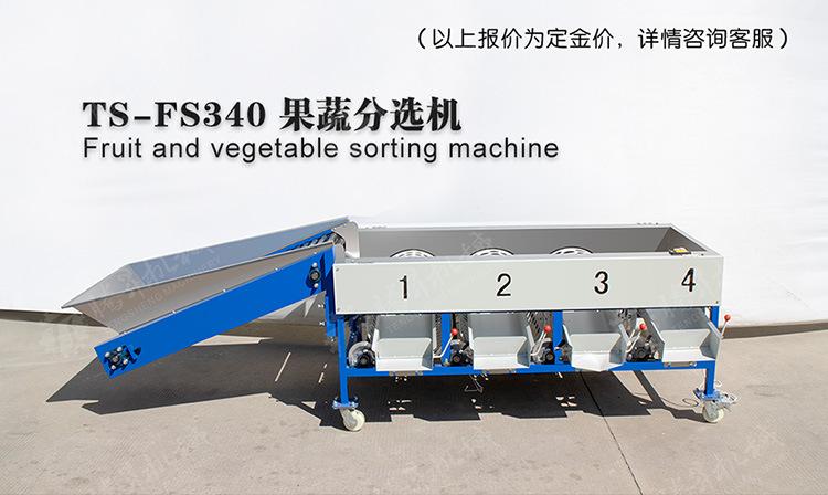 TS-FS340-果蔬分选机-详情页(750px)_01.j