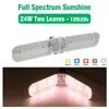 E 73% de desconto Lâmpada LED de Crescimento de Plantas Full-Spectrum com Folha de Ventilador Empilhada para Coloração de Suculentas, Luz de Preenchimento para Sementes de Estufa de Flores e Vegetais