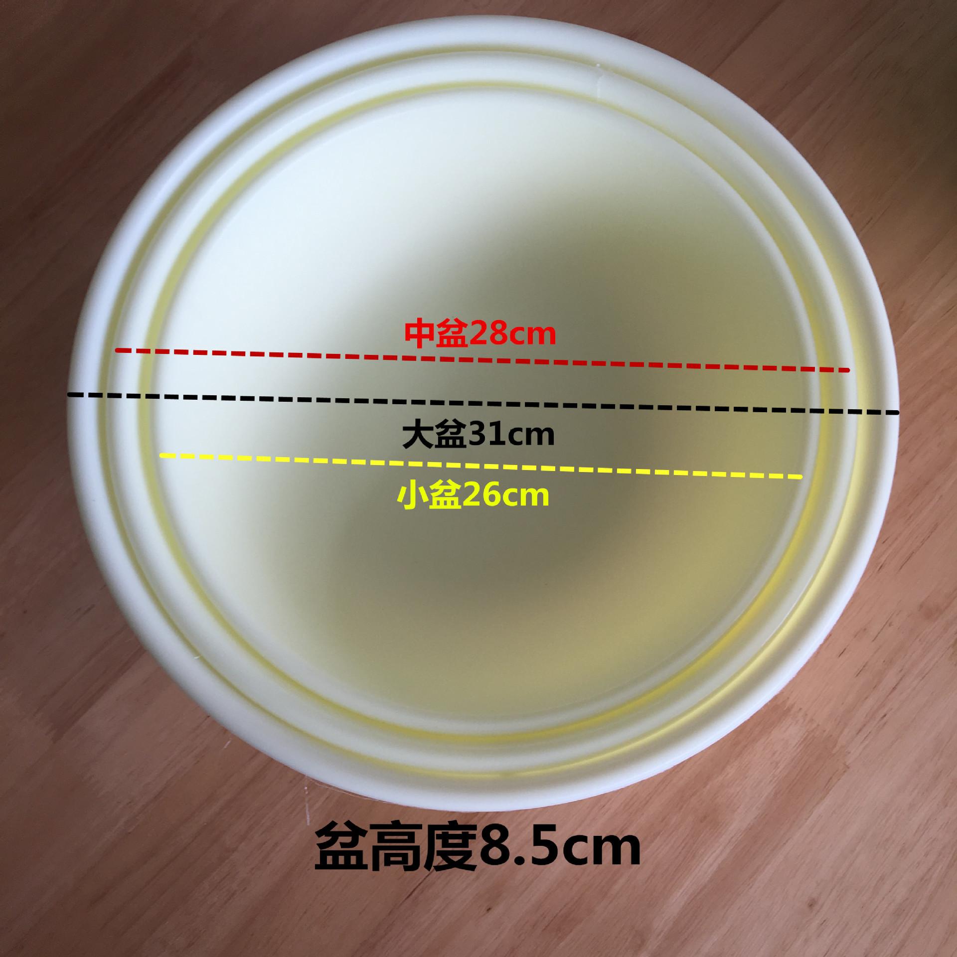 阿里IMG_3510_副本