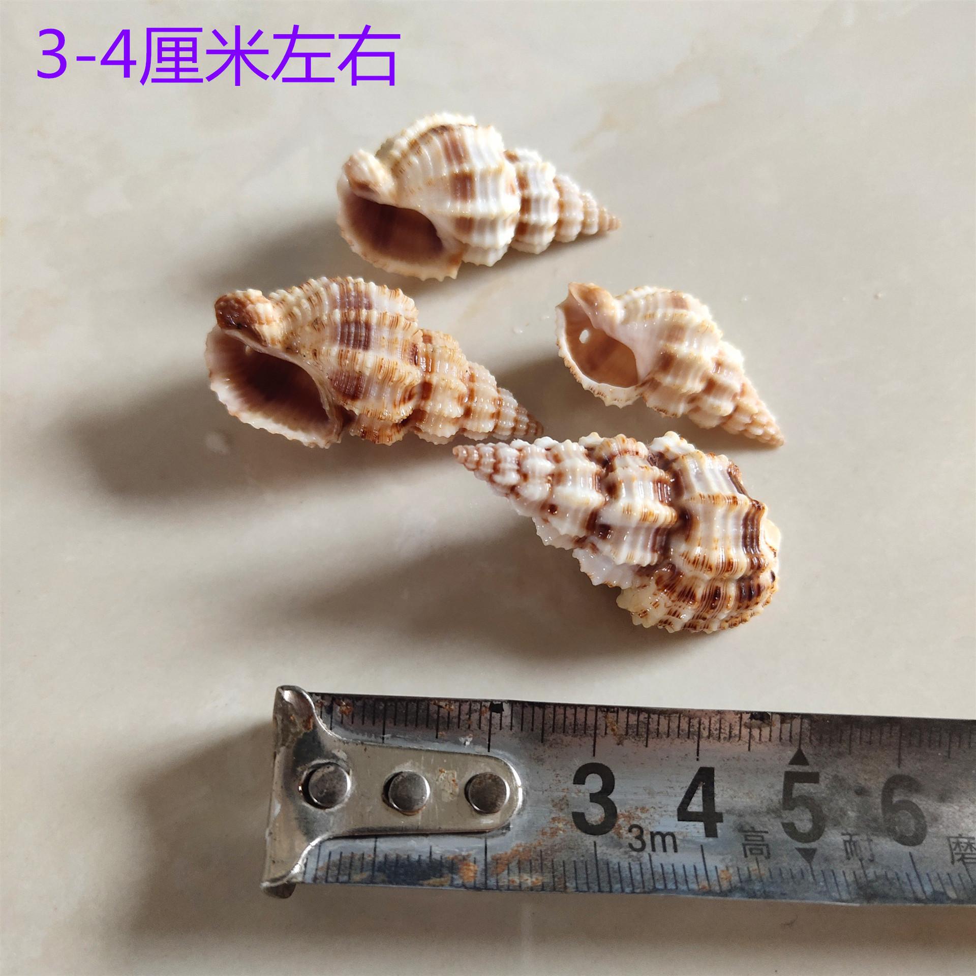 IMG_20200129_124518_副本