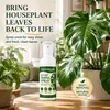 KineShineX Spray Limpiador y Brillantador de Hojas de Plantas para Plantas Verdes de Interior y Plantas Ornamentales Solución de Limpieza y Cuidado