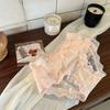 Lady Lace Mesh Girl Alta Elástica Confortável Amigo da Pele Puro Desejo Semi-transparente Cintura Média Cor Sólida Cuecas Femininas