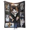 Exclusivo transfronteiriço manta de flanela com impressão 3D manta dobrável manta de cochilo manta de ar condicionado manta espessa Série Gato