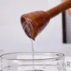 Frasco de vidrio de borosilicato alto con tapa de madera de acacia transfronterizo con varilla agitadora, frasco de almacenamiento y dispensación sellado, frasco especial para mermelada y miel
