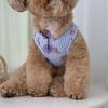Ins Nuevos Lentes para Mascotas Perro y Gato Creativos Modernos Lentes de Sol Pequeños de Juguete con Accesorios para Tomar Fotos