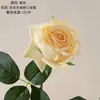 Flores Artificiales de Rosa Realistas con un Toque Dulce, Fabricante Transfronterizo de Flores Artificiales, Flores Falsas y Plantas Verdes al por Mayor, Manualidades para Decoración de Bodas, Estilo Ins
