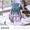 Vaso de vidro nórdico criativo, vaso transparente europeu, arranjo de flores, vaso hidropônico, enfeites para casa, atacado