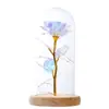Flor Eterna Flor de Rosa Pantalla de Lámpara de Vidrio Flor de Simulación Navidad Día de San Valentín Regalo de Cumpleaños Regalos Pequeños Creativos Adornos