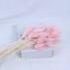 Material de Flores Secas de Hierba Cola de Conejo de Yunnan, Hierba Cola de Zorro Decoración de Año Nuevo para el Hogar, Accesorios de Fotografía, Flores Decorativas Que No Se Marchitan