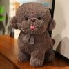 Atacado Máquina de Bonecas de 8 Polegadas Boneca de Pelúcia Boneca Loja de Bonecas Pegar Casamento Lançar Presente Boneca Urso