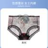 Ropa interior sexy para mujer, Encaje exquisito, Malla transparente ultradelgada con bordado, Calzones de talle medio huecos sin costuras de tentación
