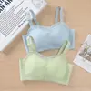 Algodão Não Magnético Espessado Sexy Renda Lingerie Sutiã de Tasse Pequeno Sutiã Sem Fio Ajustável com Bojo Espesso de 5cm