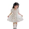 Otoño 2026 Nuevo Estilo Vestidos para Niñas Elegante Vestido Floral con Manga Abullonada Vestido de Pastel Infantil Venta al por Mayor en Stock