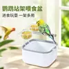 Nuevo soporte de punto fijo para defecación de loros con cubo de basura para cacatúa y periquito, poste interactivo de posado de escritorio para entrenamiento de defecación