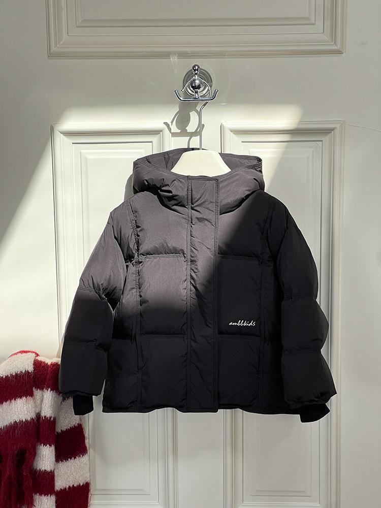 2024-11-08 113408.jpg