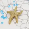 Botones de Presión Metálicos de Estrella de Mar Grandes, Botones Únicos con Temática Oceánica, Botones Decorativos para Ropa, Broches de Presión al por Mayor